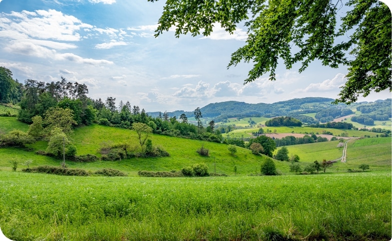 odenwald germany is pure nature
