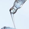 AdobeStock 229218906 web Active Ingredients