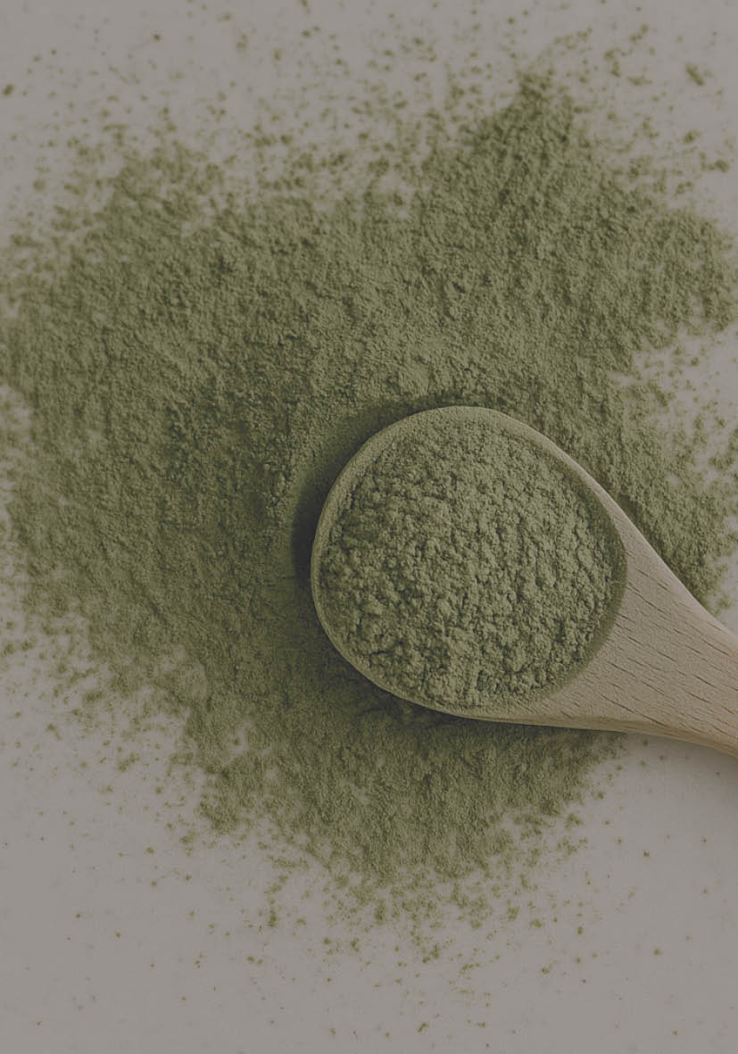 Website Reiter CDIN Startseite gross4